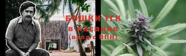 шишки Нея