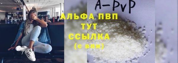 шишки Нея