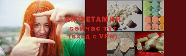 шишки Нея