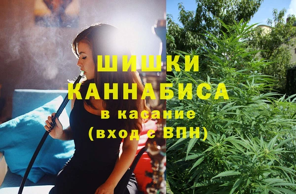 шишки Нея