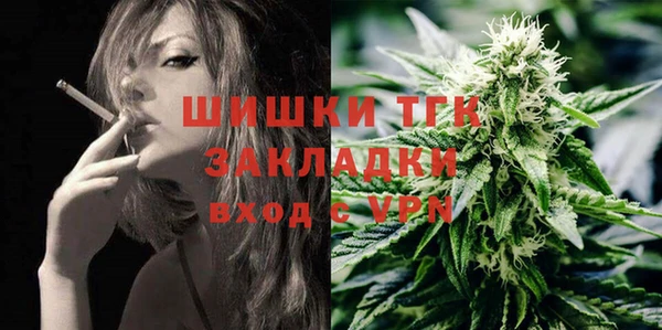 ПСИЛОЦИБИНОВЫЕ ГРИБЫ Новозыбков