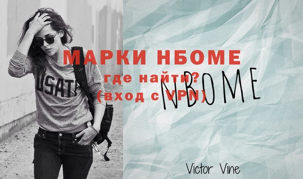 шишки Новодвинск