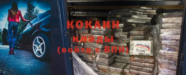 шишки Нея