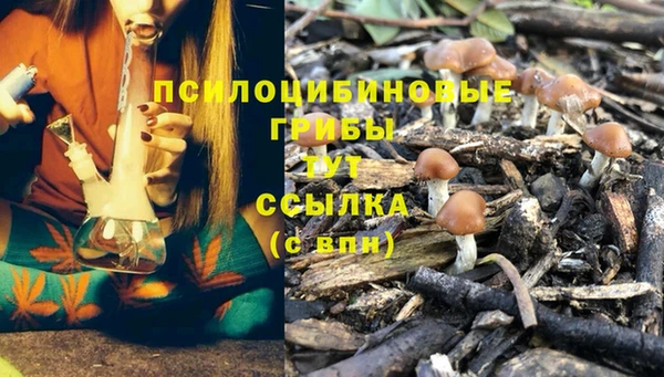 шишки Нея