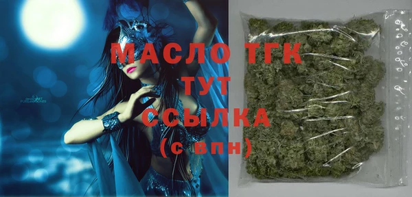 шишки Новодвинск