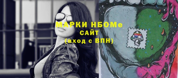шишки Новодвинск