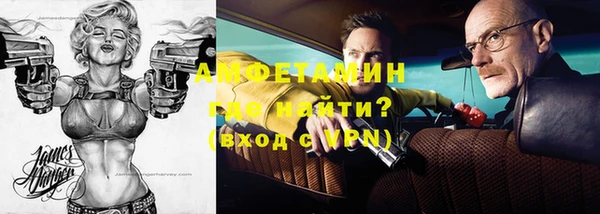 шишки Новодвинск