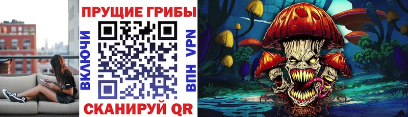Галлюциногенные грибы прущие грибы  Купить где  Кстово 